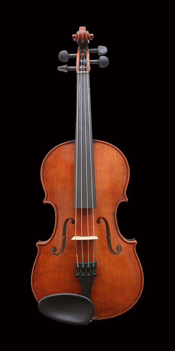 V. Richelieu Coquille Wood Viola — Vermont Violins
